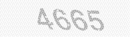 Visual security code — type the characters shown in the image
